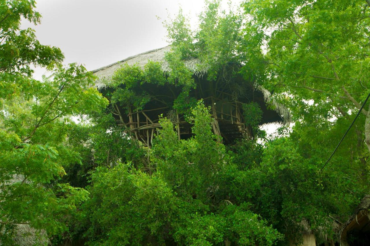 The Saraii Tree Lodge Tissamaharama Kültér fotó