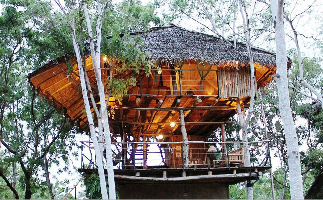 The Saraii Tree Lodge Tissamaharama Kültér fotó